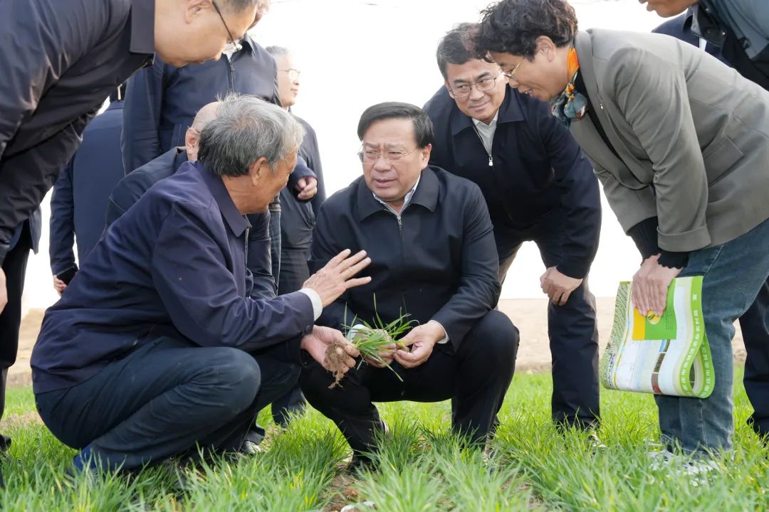 微信图片_20241107093845.jpg