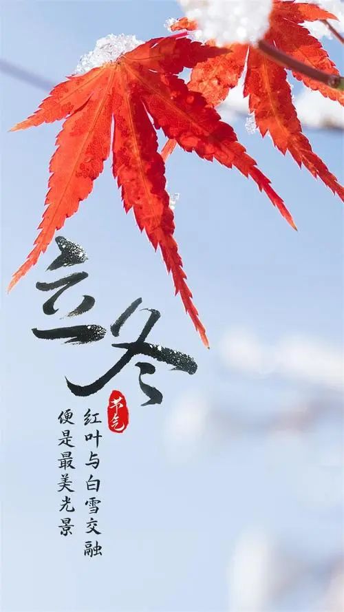 微信图片_20241107095607.jpg