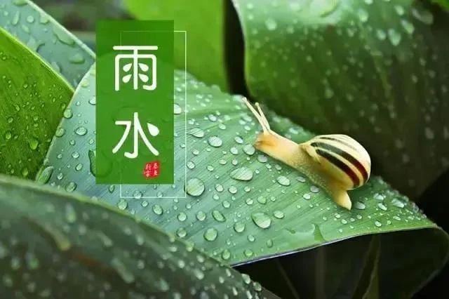 微信图片_20250218150846.jpg